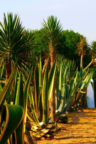 Agroturismo Casara Siete