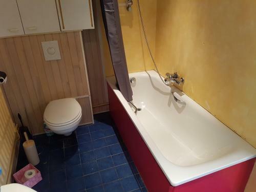 Hostal Panam� Selva Backpacker