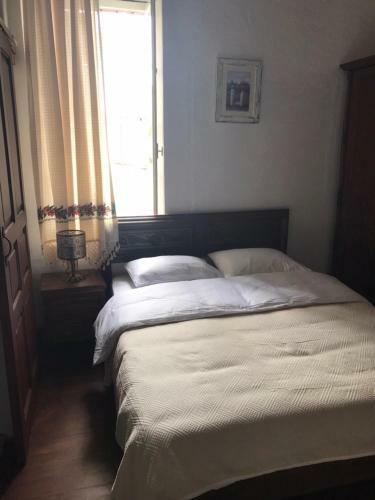Bed & Breakfast Palm Garden Guest House