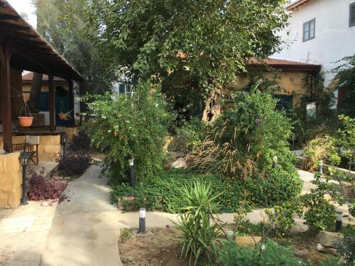 Bed & Breakfast Palm Garden Guest House