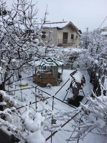 Hostal Tbili Sakhli Guest House