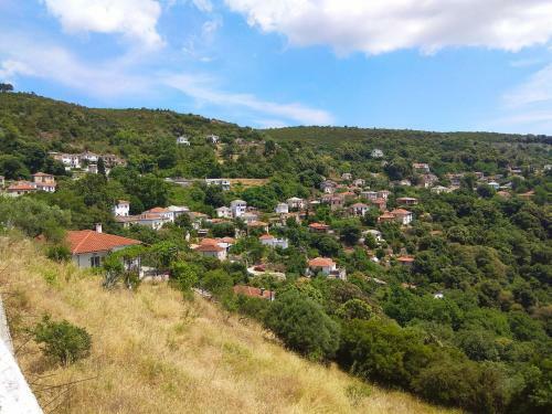Villa Marina Traditional Stonehouse
