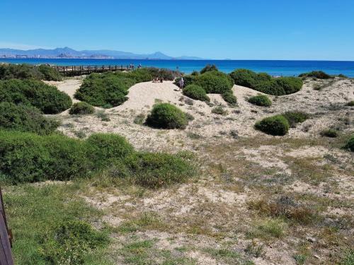 Apartamento Arenales Sol Y Playa Les Dunes