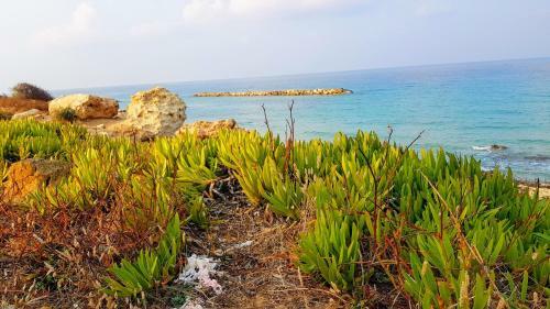 Dahan Sirena Lighthouse Luxury Apartment