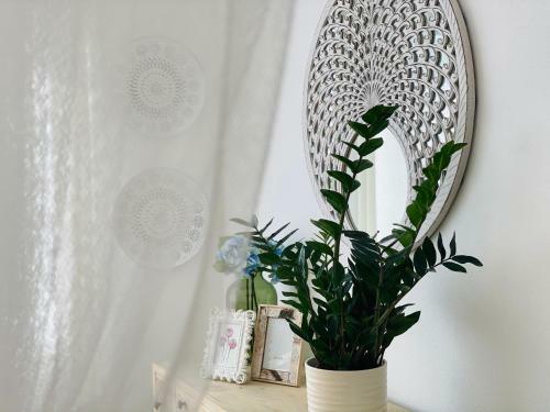 Apartamento Boutique Byt ?esk� Bud?jovice