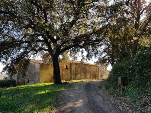 Ca La Maria - Allotjament Rural