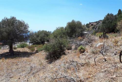 Apartamento Villa Irena 2 Bedrooms