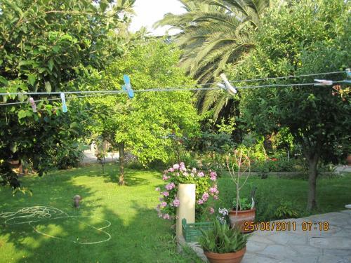 Hostal Room In Guest Room - Villa Maro 2 Afytos