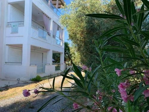 Villa Evita , Athytos Wonderful ,63m2,a/c