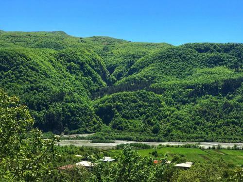Apartamento Margvelidze Winery