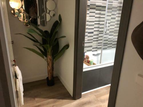 Apartamento Mi Sue�o