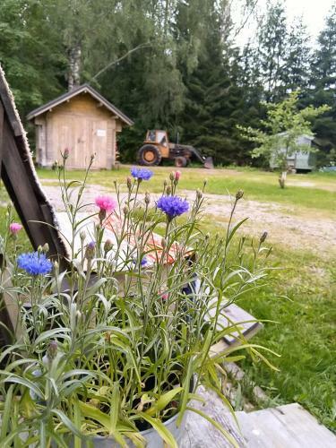 Bed & Breakfast Kulttuurikartano Pekan Pirtit