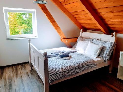 Hostal ?enovick� Dv?r