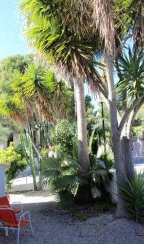 Sea House In San Telm, Mallorca