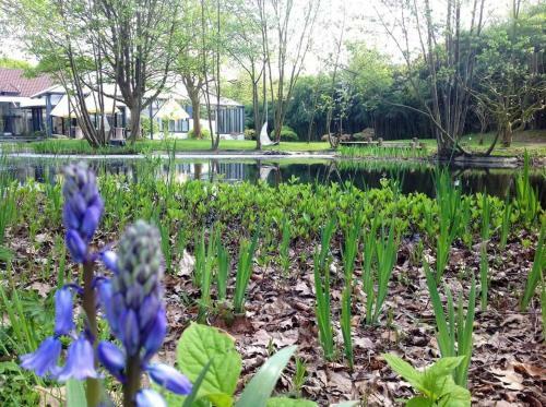 Hotel Paradiso Park