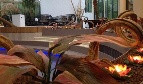 Hotel Paradiso Park
