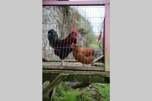 The Byre At Coco?s Farm