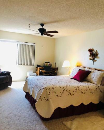 Spacious 2bed/2bath Apartment Is Mesa, Az - 55+ Community