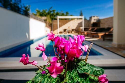 Dalmatian Villa Castello Coza With Pool, Vinjerac