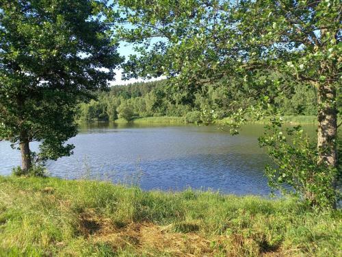 Apartm�ny Na Rynku Chvalsiny 18