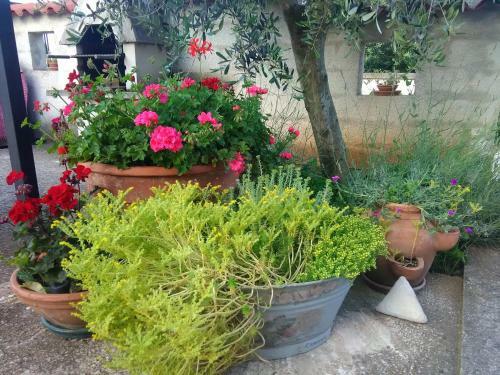 Apartamento Soline - Emozione