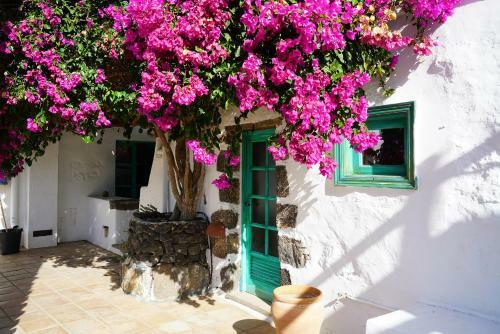 Casa Lisboa, Auf Der Finca Mimosa