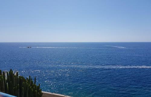 Apartamento Apt With Terrace Facing Amadores Beach