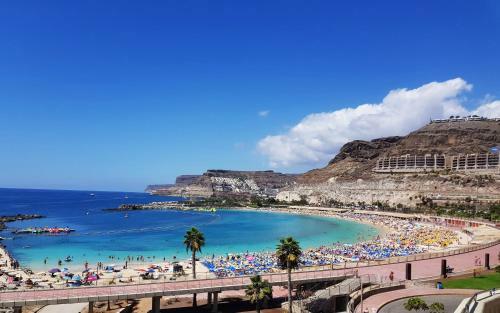 Apartamento Apt With Terrace Facing Amadores Beach