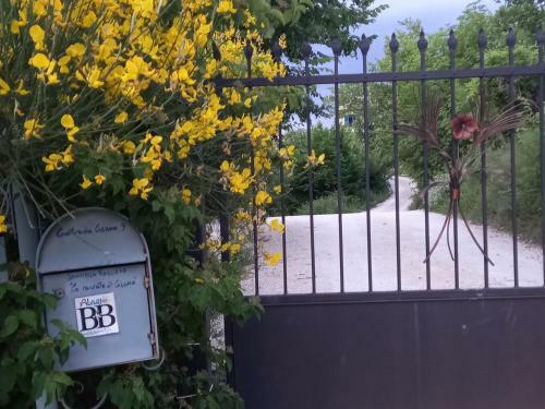 Bed & Breakfast La Casa Dalle Finestre Blu