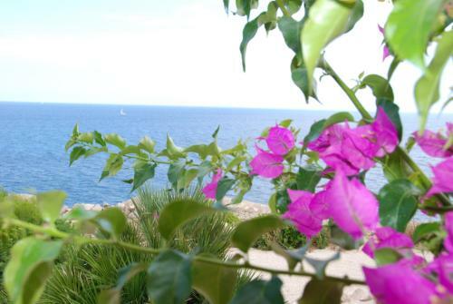 Apartamento Residencial Playa Mar