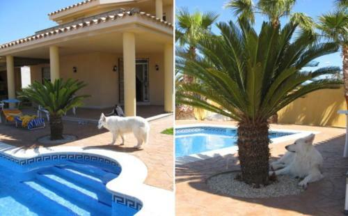 Apartamento Chalet - Zona De Descanso Alvaro