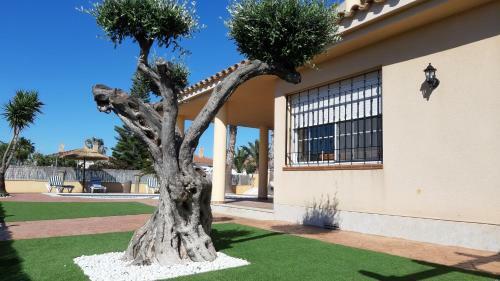 Apartamento Chalet - Zona De Descanso Alvaro