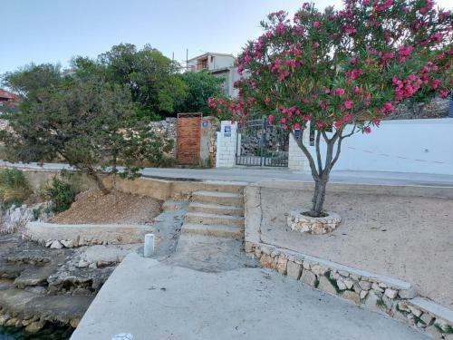 Apartment Astrid 5 M From Beach