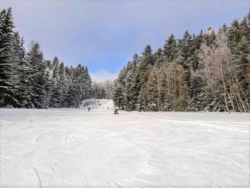 Holiday Home Chl�vce U Hronova-5