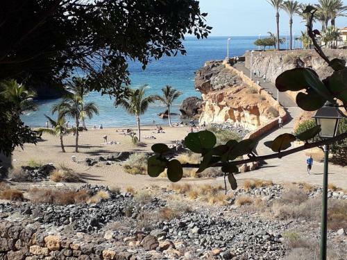 Apartamento Playa Paraiso Residence Del Sur