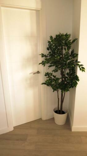 Apartamento Feel-good-oasis