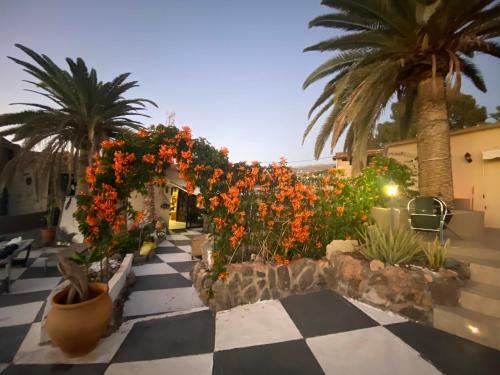 Apartamento Paraiso Villas