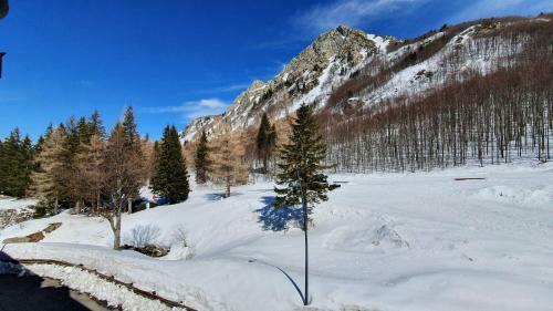 Apartamento La Terrazza Sulle Piste - Val Di Luce