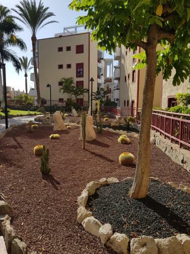 Apartamento Ruise�or En Palm-mar
