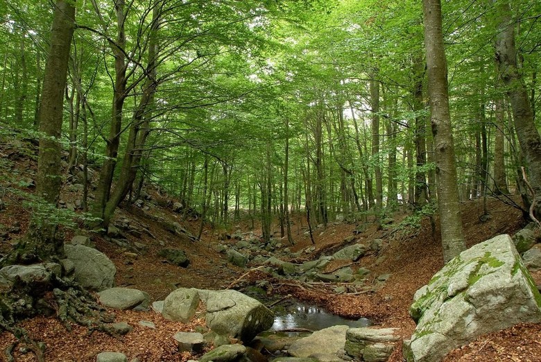 Hotel Hostal De La Gl�ria