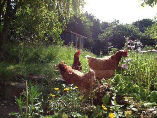 Bed & Breakfast Shepherds Rest Bruton