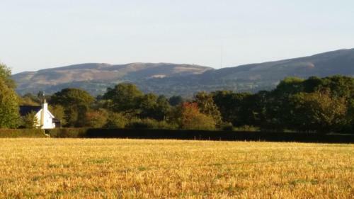Bed & Breakfast Ty Derw Country House B&amp;b