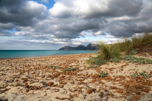 Apartment 100m From The Beach, Son Serra De Marina, Mallorca