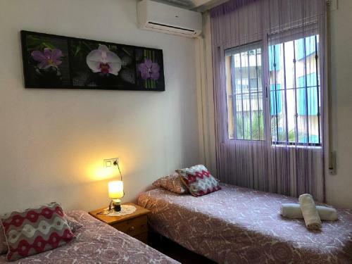 Apartament Margarita Cabo Roig "ozonizado"