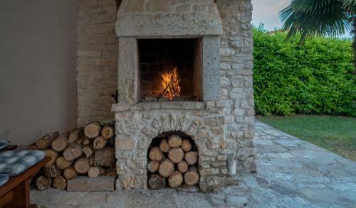 Villa Holiday Home Vizinada