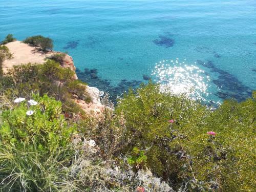 Apartamentos Cabo Roig Bellavista III