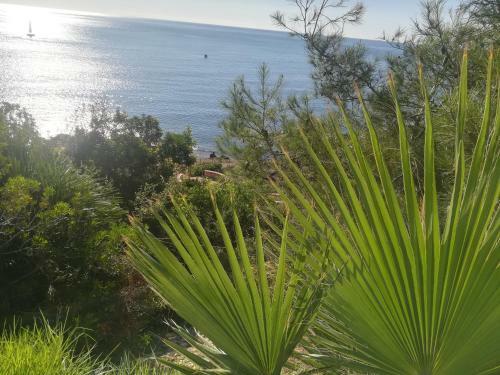 Apartamentos Cabo Roig Bellavista III