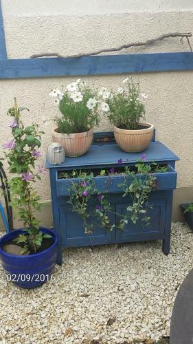 Bed & Breakfast Cherryberry Lodges