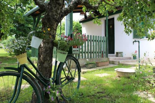 Apartamento Patr�cia Pihen?h�z
