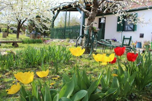 Apartamento Patr�cia Pihen?h�z